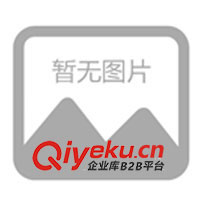 溫嶺云和　磁力泵系列　磁力循環(huán)驅(qū)動泵